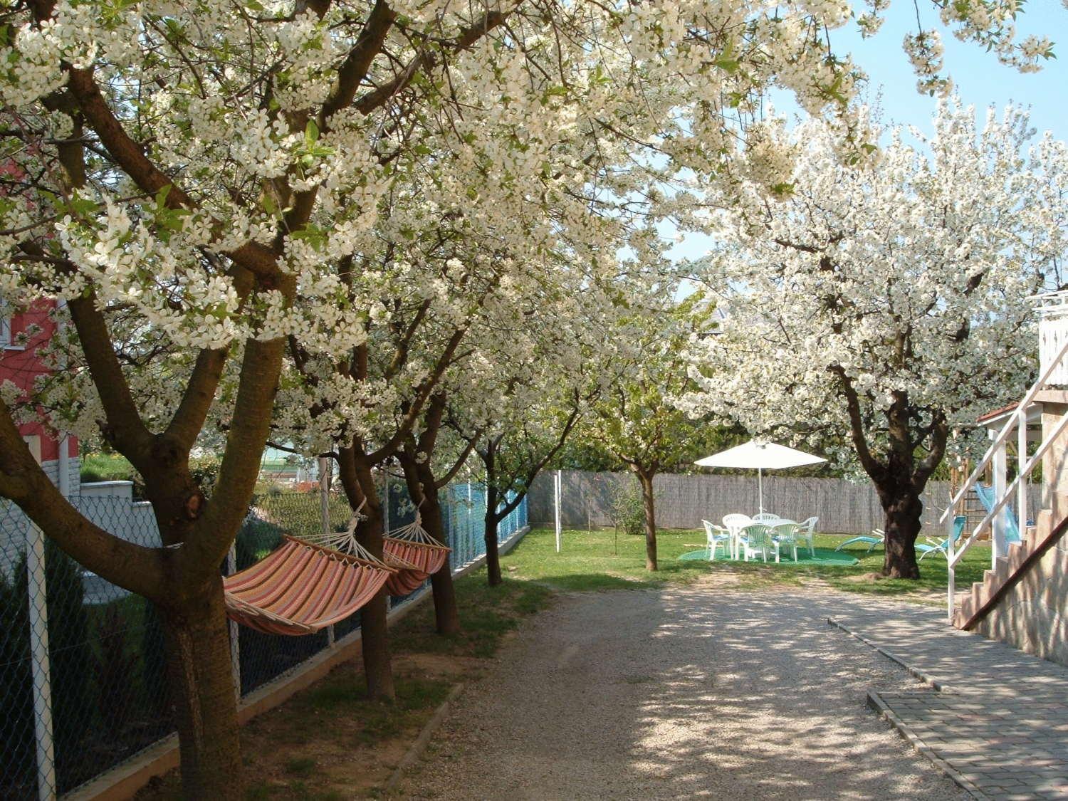 Apartman Heviz Holiday 외부 사진